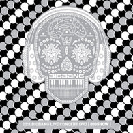 BIGBANG Big Show 2011 Concert DVD Photobook