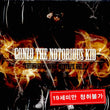 DOK2 Thunderground Mixtape Vol. 2