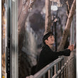 One Spring Night DVD Normal Edition