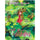 The Borrower Arrietty DVD